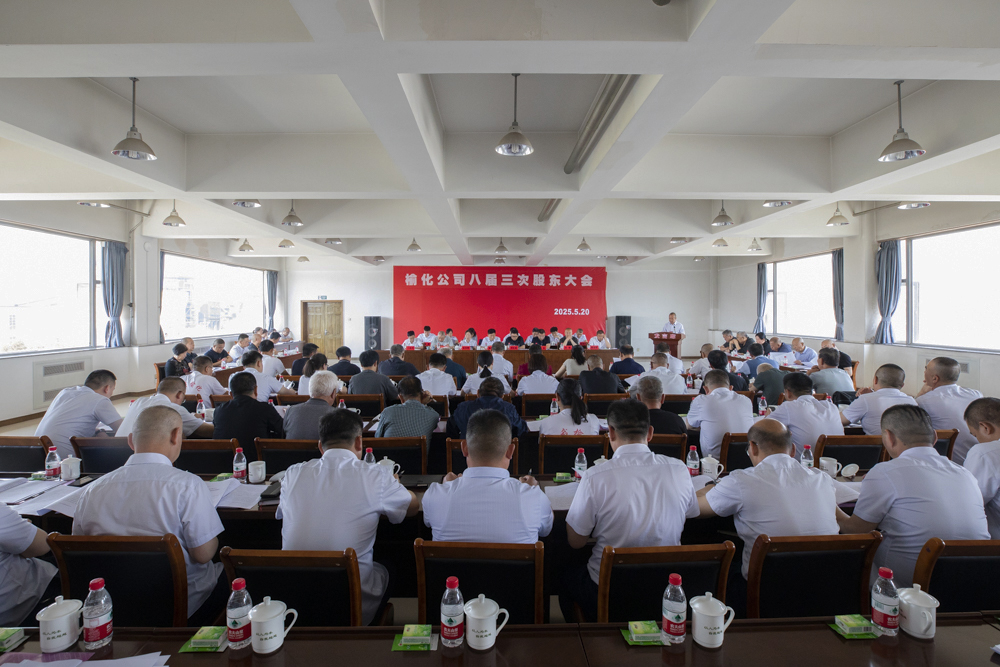 公司第八屆第三次股東大會(huì)勝利召開(kāi)
